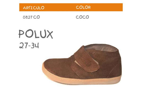 polux18C2FBDD-DF05-F089-607C-7478ECAE4A98.jpg
